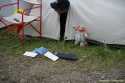Bild 194