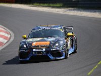 24h-SA136