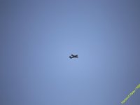 24h-SA278
