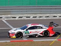 DTM 2019 0079