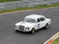 IMG 3081