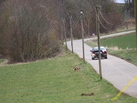 Kempenich 2019 0043