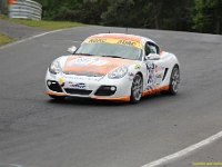 elmar vln 0160