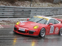 Elmar VLN 0165