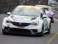 RCN 2019 0239