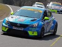 RCN 2019 0294