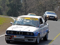 RCN 2019 0295