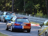 RCN 2019 0195