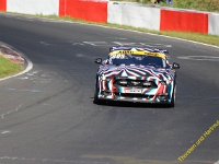 RCN 2019 0031