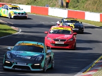 RCN 2019 0133