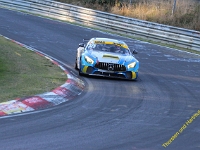 RCN 2019 0295