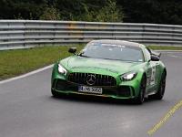 RCN-GLP 2019 0155