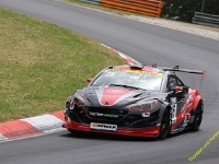 RCN-VLN-116