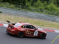 RCN-VLN-203