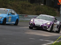 VLN-10-2025-101