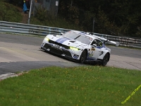VLN-10-2025-115