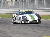 Elmar VLN 0004