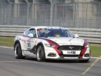 Elmar VLN 0029