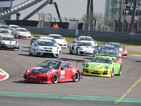 Elmar VLN 0136
