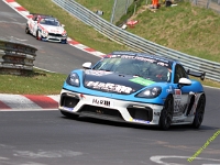 VLN-2021-00239