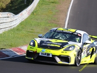 VLN2-2025-066