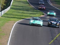 VLN2-2025-081