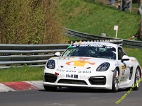 VLN2-2025-203