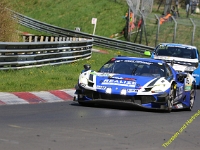 VLN2-2025-217