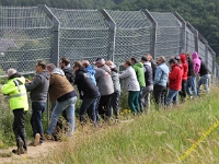 VLN 2018 0166