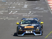 VLN3-2025-130