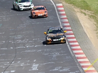 VLN3-2025-137