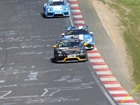 VLN3-2025-160