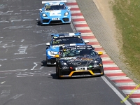 VLN3-2025-161