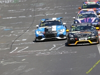 VLN3-2025-175