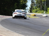 VLN3-2025-206