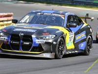 VLN3-2025-219