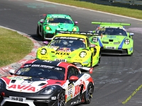 VLN3-2025-254