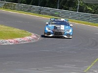 VLN3-2025-272
