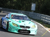 VLN 4 0135