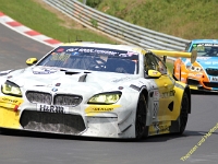 VLN 4 0304