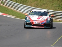 VLN 4 0308