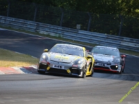 VLN4-2023-00039