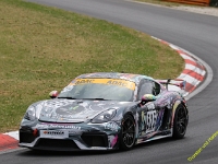 RCN-VLN-117