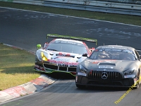VLN 2018 0069