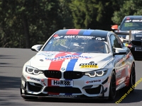 VLN 2018 0339