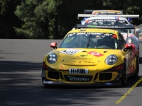 VLN 2018 0377
