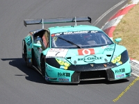 VLN 2018 0484
