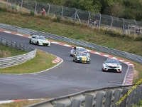 VLN 2018 0230