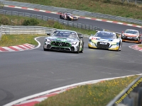 VLN 2018 0248