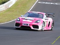 VLN6-2025-008